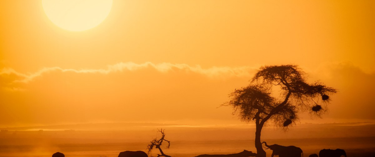 Amboseli National Park