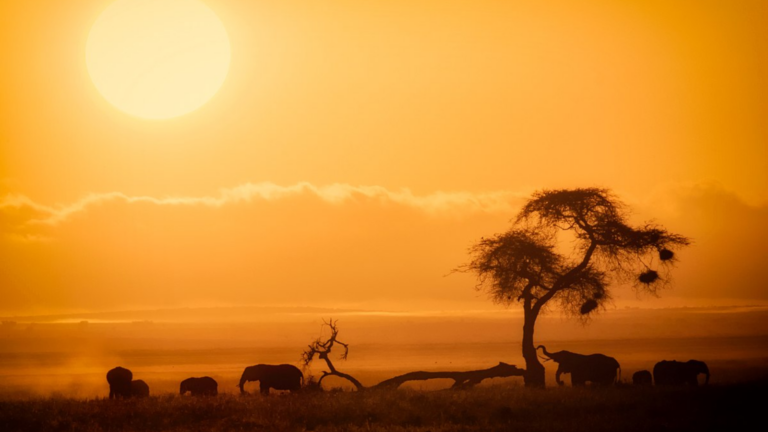 Amboseli National Park