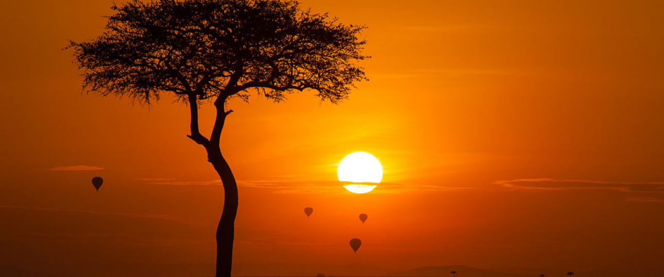Sunrise in the Mara