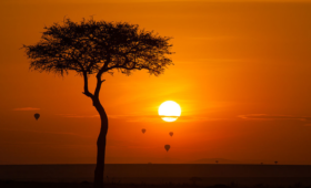 Sunrise in the Mara