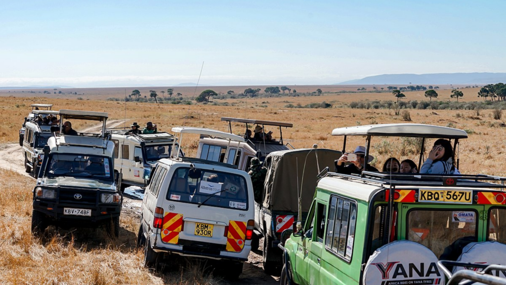 Tourists on Safari Vans