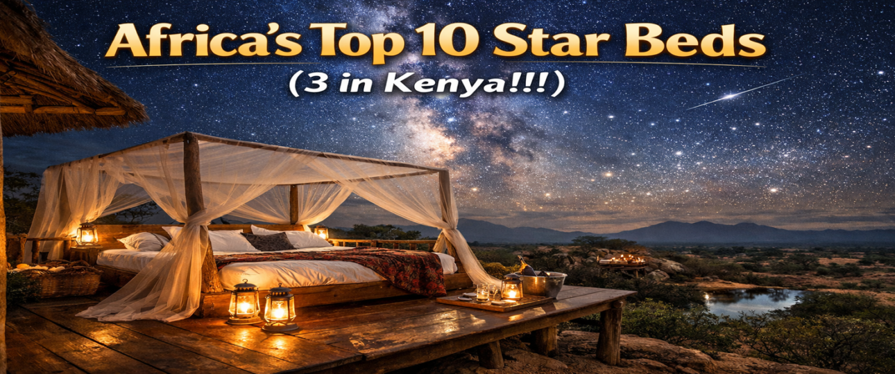 Africa Star Beds