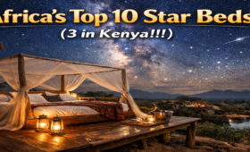 Africa Star Beds
