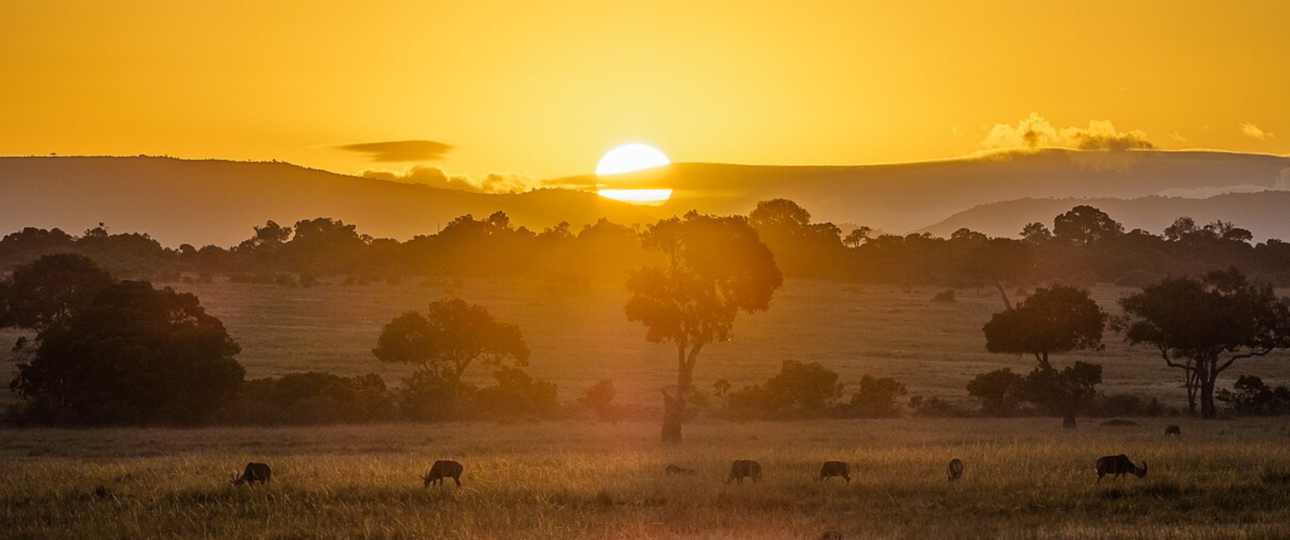 Maasai Mara Feature Image