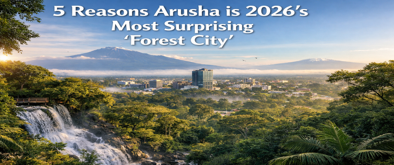 5 Reasons Arusha is 2026’s Most Surprising "Forest City."